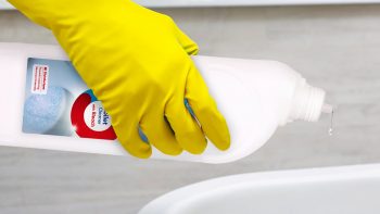 How Long After Cleaning With Bleach Can I Use Vinegar? [Explained]